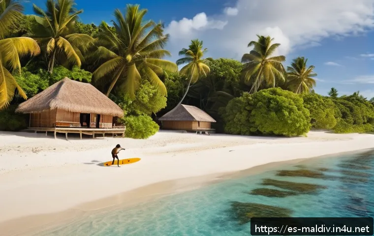 Descubre el surf en Maldivas: la guía definitiva para dominar las olas paradisíacas 4 몰디브 대표 스포츠 보드 관련 이미지 2